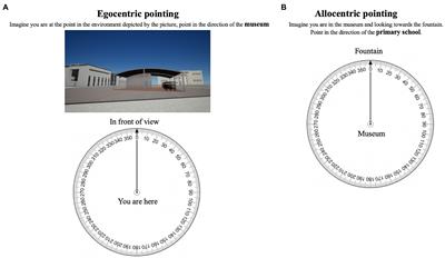 Men’s and women’s egocentric and allocentric knowledge: The involvement of mental rotation ability and spatial beliefs